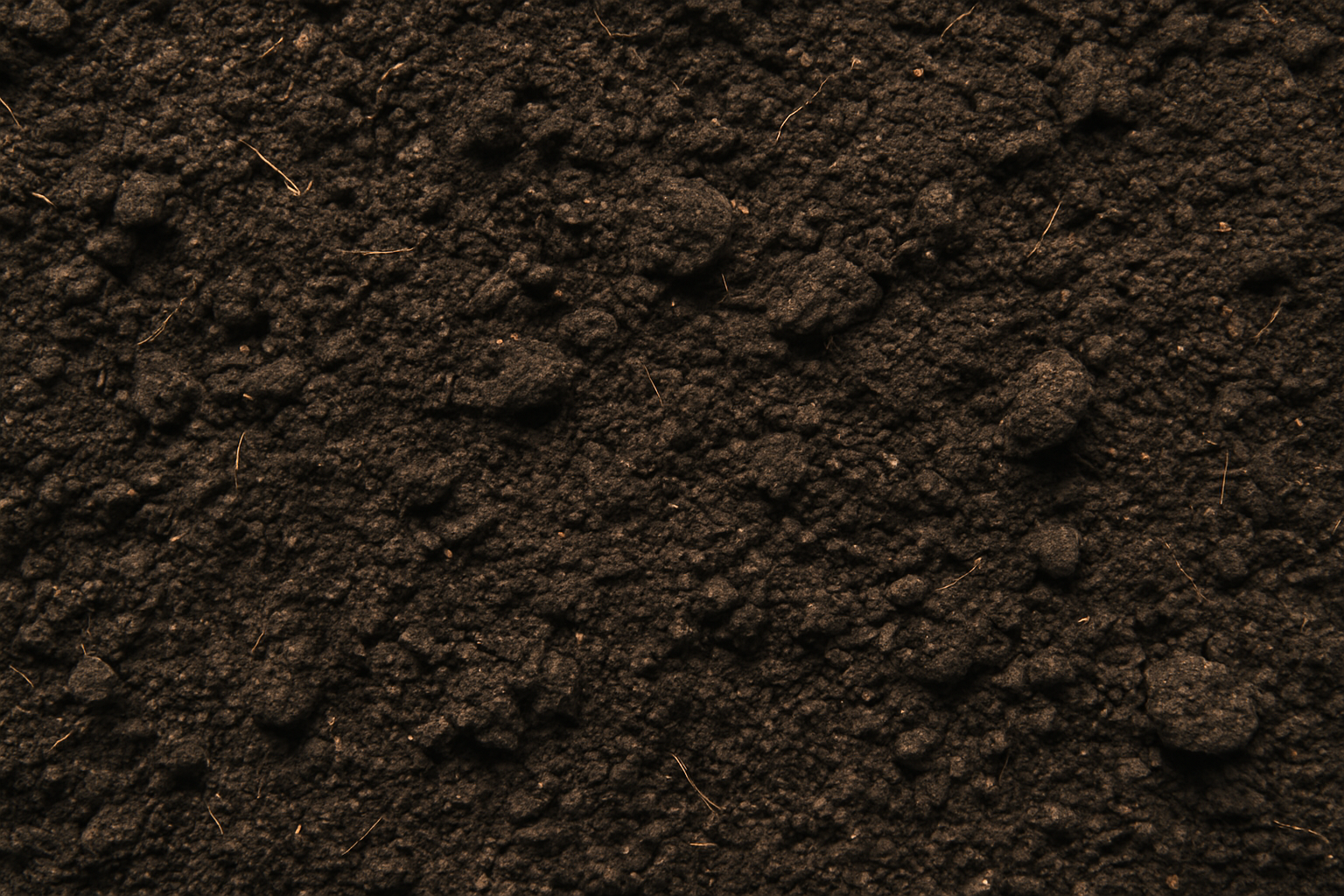 Screened Economy Top Soil (Bulk Bag)